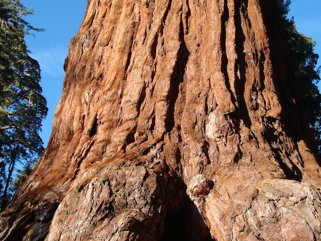 Sequoia National Park
